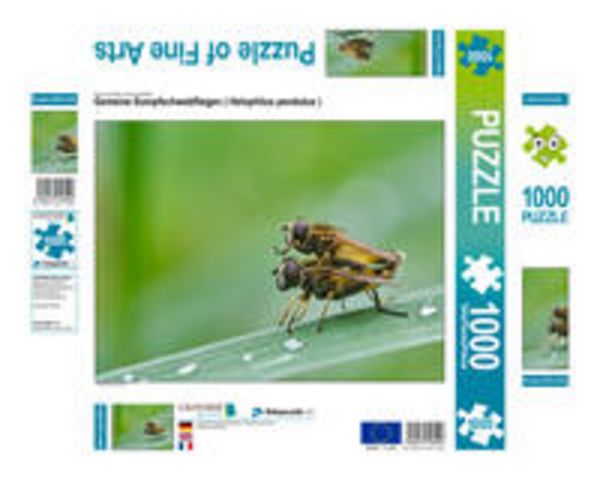 CALVENDO Puzzle Gemeine Sumpfschwebfliegen ( Helophilus pendulus ) | 1000 Teile Lege-Größe 64x48cm Foto-Puzzle für glückliche Stunden