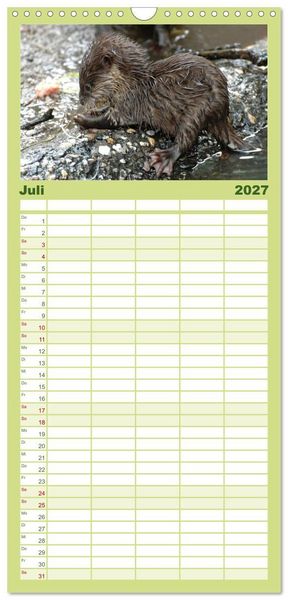 Produktbild: Familienplaner 2027 - Kleine Schelme - Tierbabys mit 5 Spalten (Wandkalender, 21 x 45 cm) CALVENDO