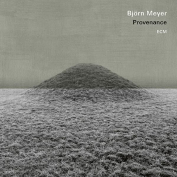 Provenance - Björn Meyer, Vinyl