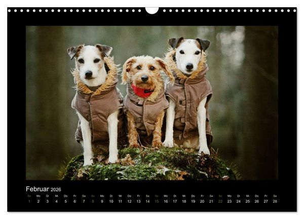Produktbild: Die Parsons (Wandkalender 2026 DIN A3 quer), CALVENDO Monatskalender