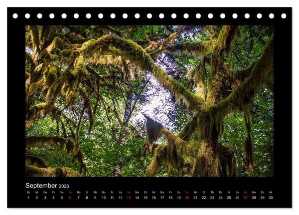 Produktbild: W&auml;lder, fotografiert auf vier Kontinenten (Tischkalender 2026 DIN A5 quer), CALVENDO Monatskalender