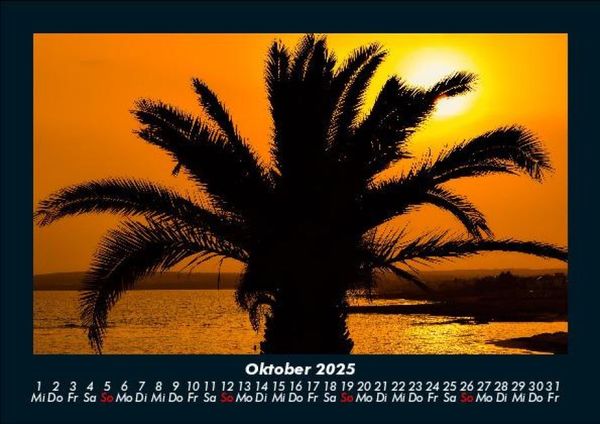 Produktbild: Palmentraum 2025 Fotokalender DIN A5