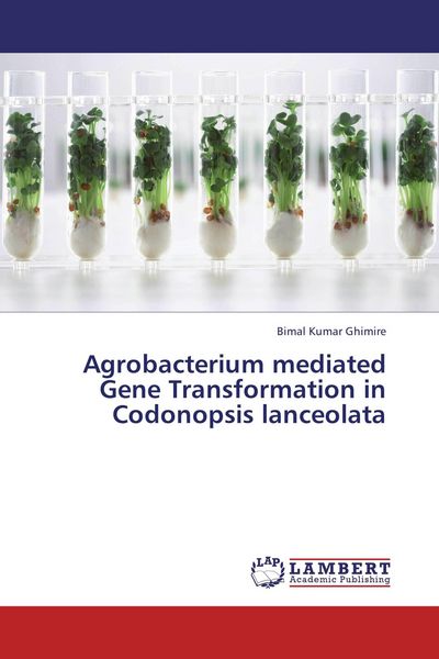 Produktbild: Agrobacterium mediated Gene Transformation in Codonopsis lanceolata
