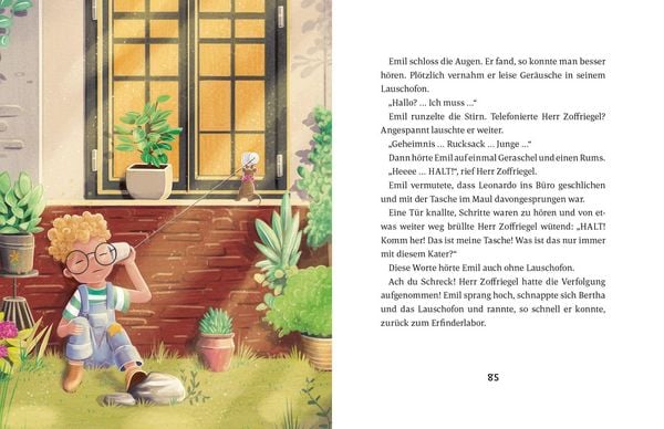 Produktbild: Emil Einstein (Bd. 6)