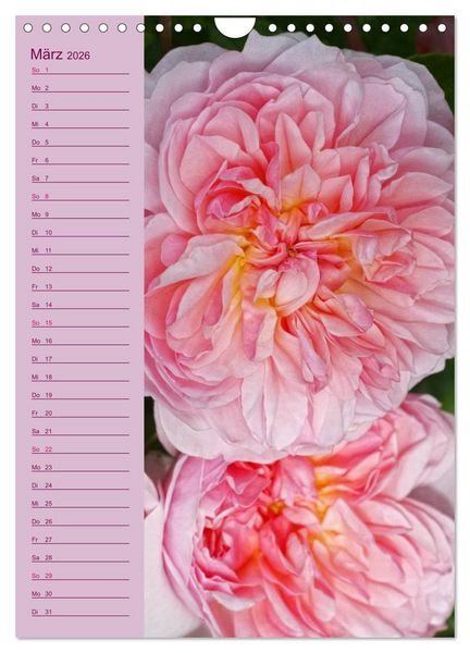 Produktbild: Rosen Symphonie (Wandkalender 2026 DIN A4 hoch), CALVENDO Monatskalender