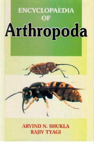 Produktbild: Encyclopaedia of Arthropoda (Developmental Biology Arthropods)
