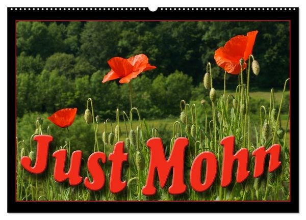 Produktbild: Just Mohn (Wandkalender 2026 DIN A2 quer), CALVENDO Monatskalender