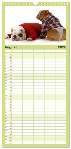 Produktbild: Familienplaner 2026 - English Bulldog XXL Models mit 5 Spalten (Wandkalender, 21 x 45 cm) CALVENDO