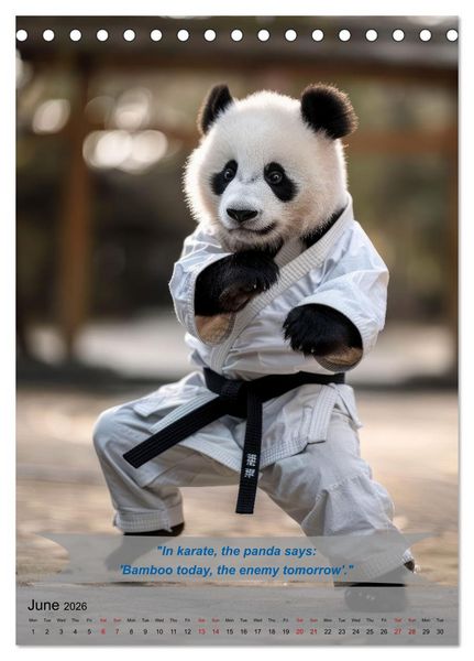 Produktbild: Great fun with animal karate fighters (Desk Calendar 2026 DIN A5 portrait), CALVENDO 12 Month DeskCalendar