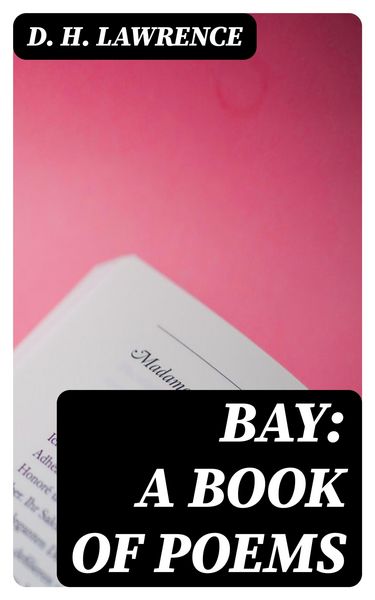 Produktbild: Bay: A Book of Poems
