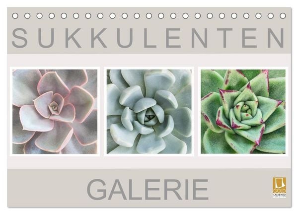 Produktbild: Sukkulenten Galerie (Tischkalender 2026 DIN A5 quer), CALVENDO Monatskalender