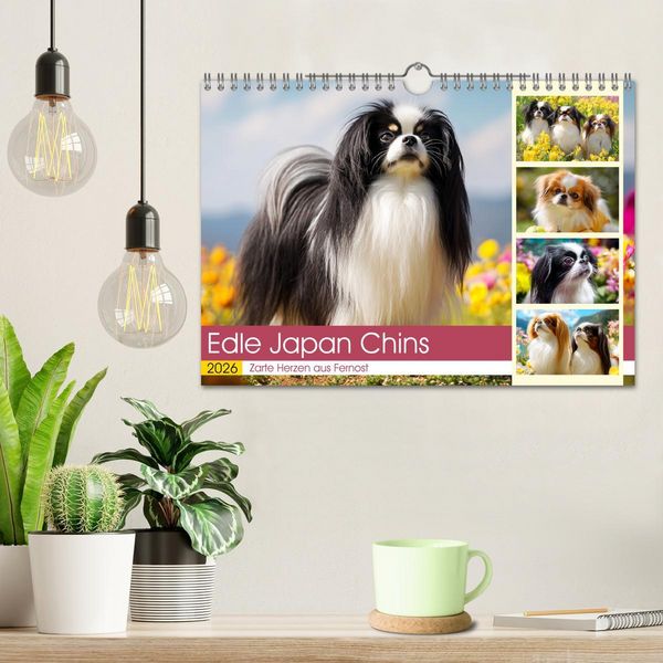Produktbild: Edle Japan Chins. Zarte Herzen aus Fernost (Wandkalender 2026 DIN A4 quer), CALVENDO Monatskalender