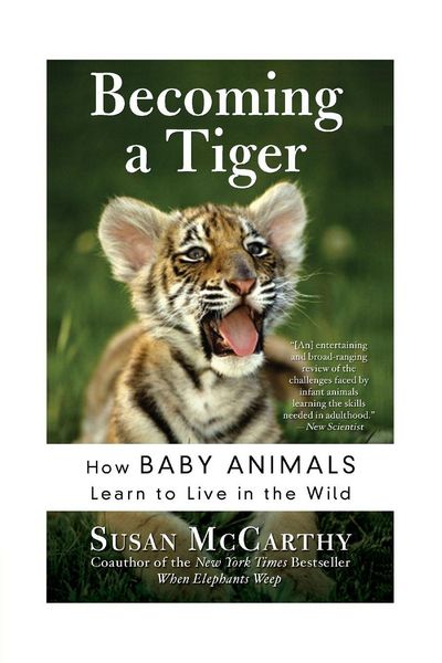Produktbild: Becoming a Tiger