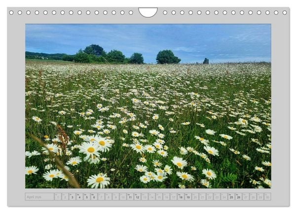 Produktbild: M&ouml;n...die Sch&ouml;nheit einer d&auml;nischen Insel (Wandkalender 2026 DIN A4 quer), CALVENDO Monatskalender