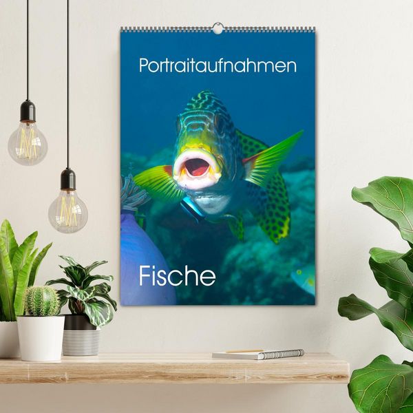 Produktbild: Portraitaufnahmen - Fische (Wandkalender 2026 DIN A2 hoch), CALVENDO Monatskalender