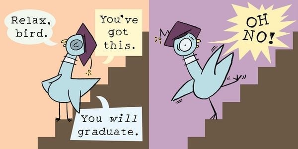 Produktbild: Will the Pigeon Graduate?