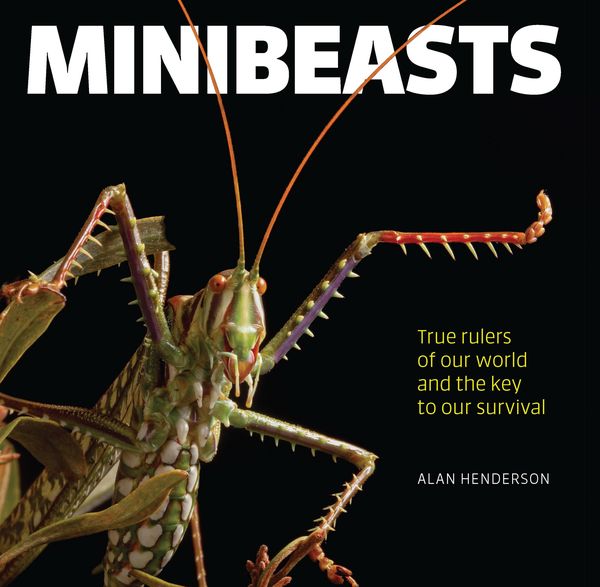 Produktbild: Minibeasts