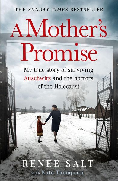 Produktbild: A Mother's Promise