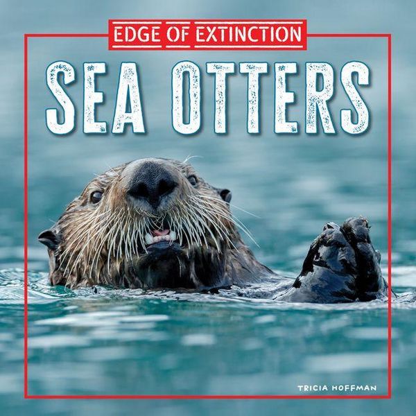 Produktbild: Sea Otters