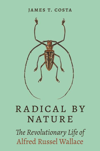 Produktbild: Radical by Nature