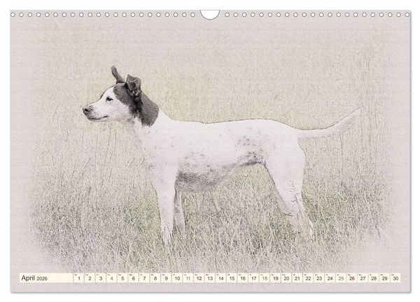 Produktbild: Bodeguero Andaluz 2026 (Wandkalender 2026 DIN A3 quer), CALVENDO Monatskalender