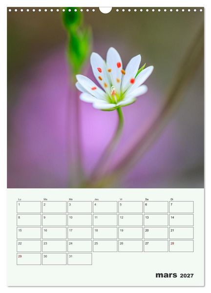 Produktbild: Fleurs en toute simplicit&eacute; - Beaut&eacute; minimaliste (Calendrier mural 2027 DIN A3 horizontal), CALVENDO calendrier mensuel
