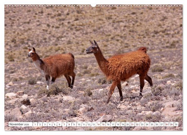 Produktbild: Vielf&auml;ltiges Peru (hochwertiger Premium Wandkalender 2026 DIN A2 quer), Kunstdruck in Hochglanz