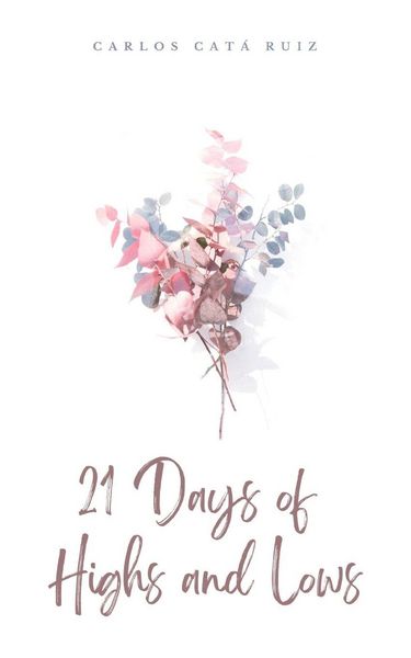 Produktbild: 21 Days of Highs and Lows