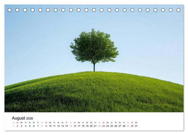 Produktbild: Minimalistische Naturmomente &ndash; Ruhe und Sch&ouml;nheit in der Natur (Tischkalender 2026 DIN A5 quer), CALVENDO Monatskalender