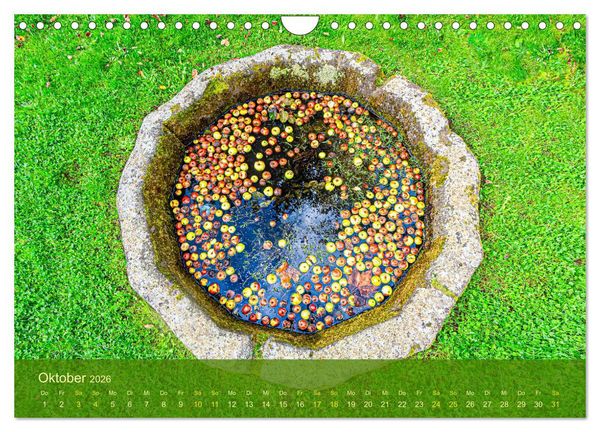 Produktbild: der staudengarten zu bad hersfeld (Wandkalender 2026 DIN A4 quer), CALVENDO Monatskalender