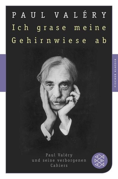 Produktbild: Ich grase meine Gehirnwiese ab