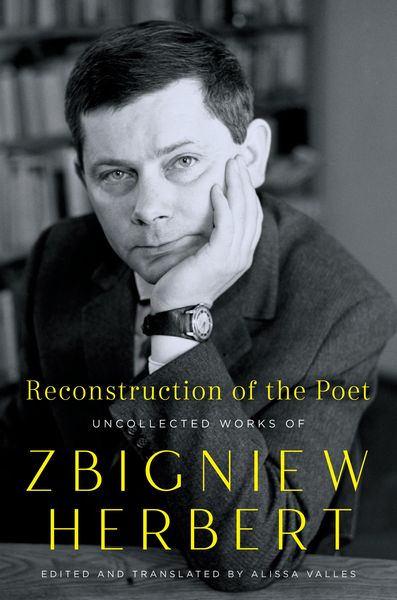 Produktbild: Reconstruction of the Poet