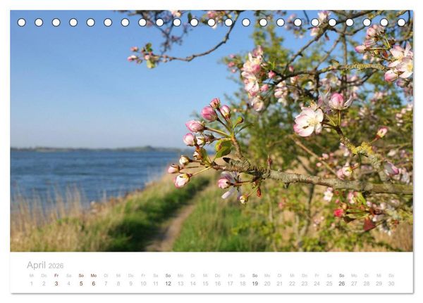 Produktbild: Zauberhafte Schlei (Tischkalender 2026 DIN A5 quer), CALVENDO Monatskalender
