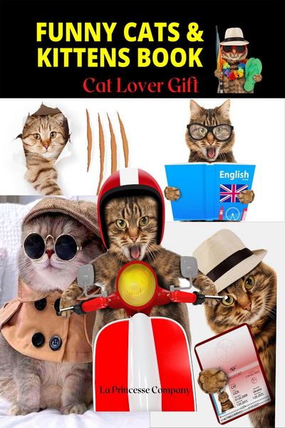 Produktbild: Funny Cats & Kittens Book - Cat Lover Gifts (Pet Book, #3)