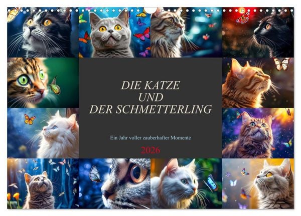 Die Katze und der Schmetterling (Wandkalender 2026 DIN A3 quer), CALVENDO Monatskalender