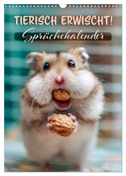 Produktbild: Tierisch erwischt (Wandkalender 2026 DIN A3 hoch), CALVENDO Monatskalender