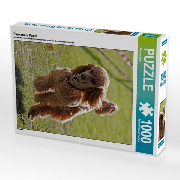 Produktbild: CALVENDO Puzzle Rennender Pudel | 1000 Teile Lege-Gr&ouml;&szlig;e 64x48cm Foto-Puzzle f&uuml;r gl&uuml;ckliche Stunden