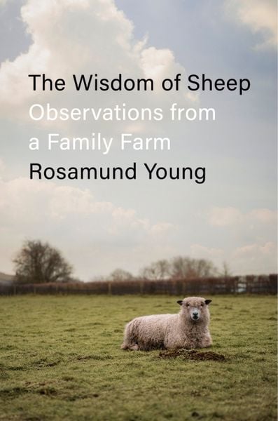 Produktbild: The Wisdom of Sheep