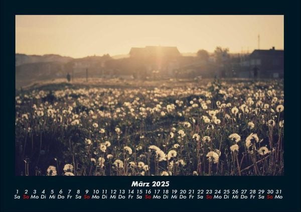Produktbild: Bilder aus der Natur 2025 Fotokalender DIN A4