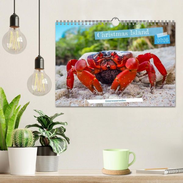 Produktbild: Unterwasserwelt Christmas Island (Wandkalender 2026 DIN A4 quer), CALVENDO Monatskalender