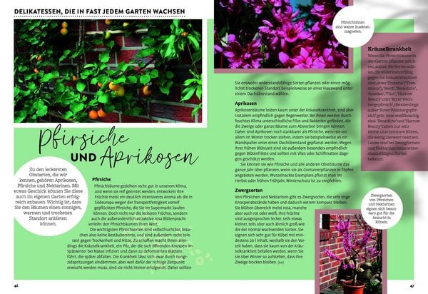 Produktbild: Ulmers Gartenkalender 2027