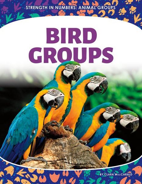 Produktbild: Bird Groups