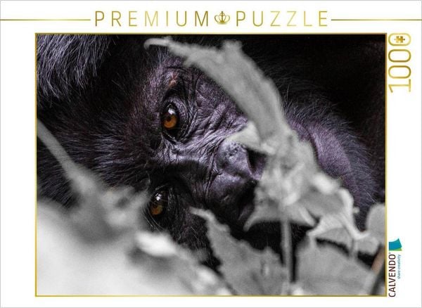 Produktbild: CALVENDO Puzzle Die Augen eines Gorillas | 1000 Teile Lege-Gr&ouml;&szlig;e 64x48cm Foto-Puzzle f&uuml;r gl&uuml;ckliche Stunden