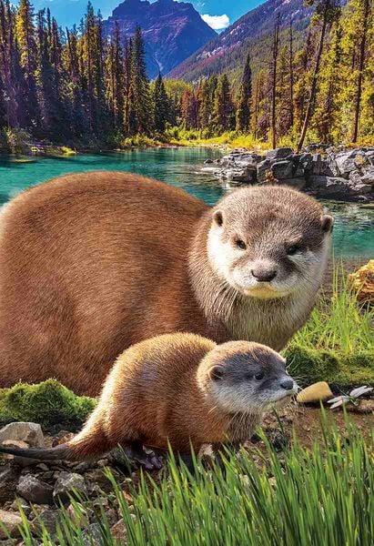 Produktbild: Otter (Puzzle)