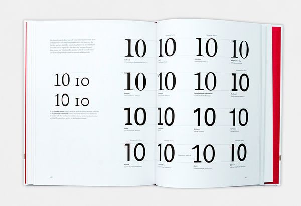 Produktbild: Anatomie der Buchstaben
