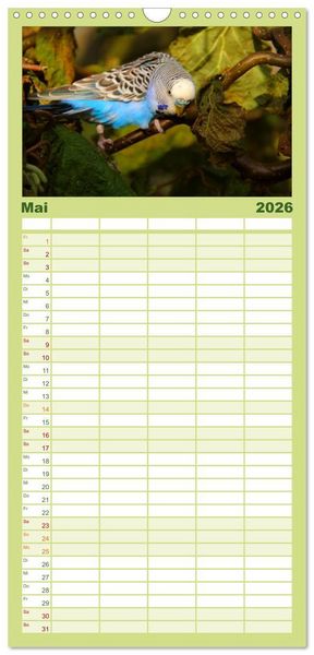 Produktbild: Familienplaner 2026 - Wellensittiche mit 5 Spalten (Wandkalender, 21 x 45 cm) CALVENDO
