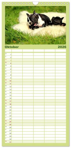 Produktbild: Familienplaner 2026 - Franz&ouml;sische Bulldoggen mit 5 Spalten (Wandkalender, 21 x 45 cm) CALVENDO