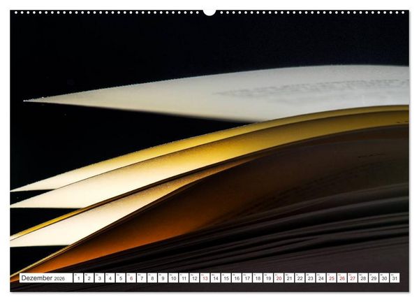 Produktbild: Ars Libri - Kunstwerk Buch (hochwertiger Premium Wandkalender 2026 DIN A2 quer), Kunstdruck in Hochglanz