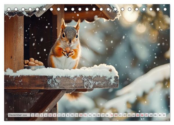 Produktbild: EICHH&Ouml;RNCHEN Niedliche kleine Wesen (Tischkalender 2026 DIN A5 quer), CALVENDO Monatskalender