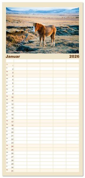 Produktbild: Familienplaner 2026 - Islandpferde - Die s&uuml;&szlig;en Pferde im Norden. mit 5 Spalten (Wandkalender, 21 x 45 cm) CALVENDO